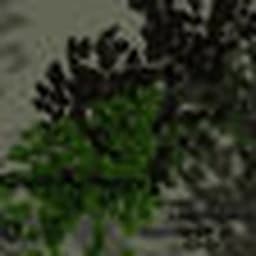 Green Memories