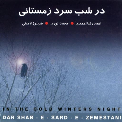 In the Cold Winter's Night (Dar Shab-e Shard-e-zemestani)