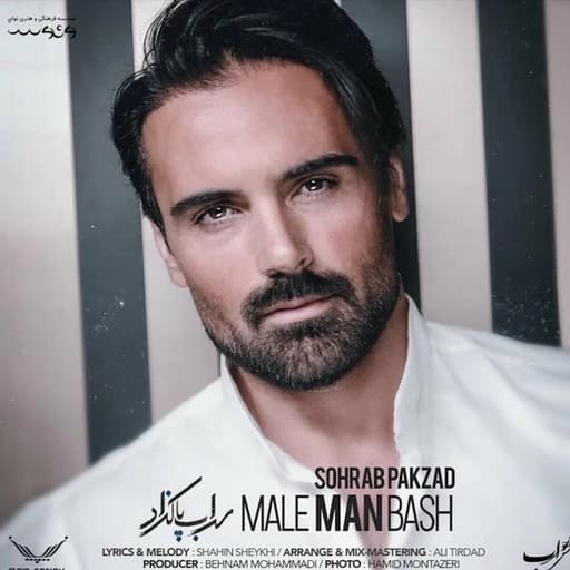 Male Man Bash