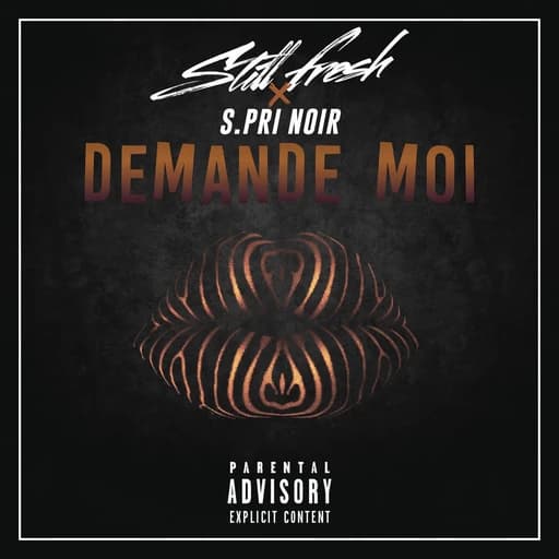 Demande-moi (feat. S.Pri Noir)