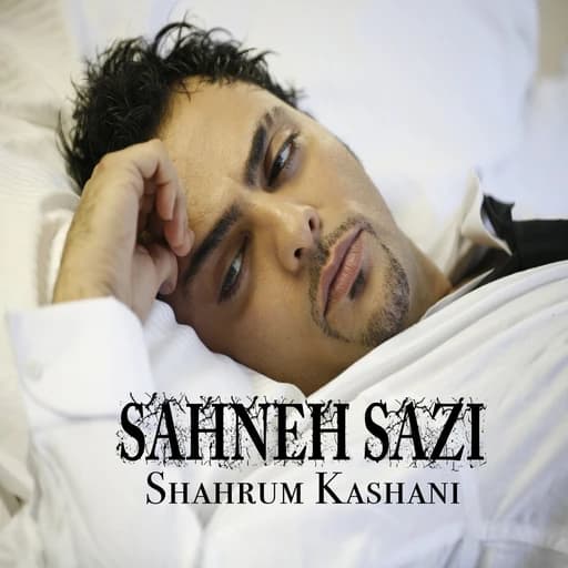 Sahneh Sazi