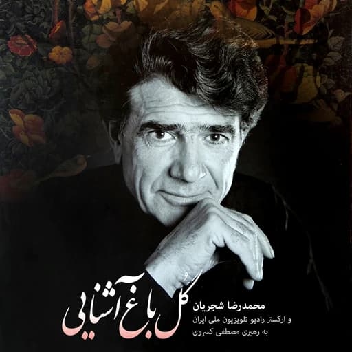 خوشا دردی که درمانش تو باشی
