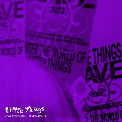 Little Things x Gypsy Woman (L BEATS MASHUP)