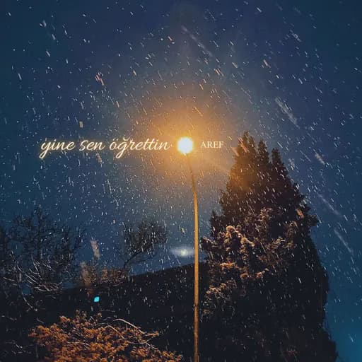 yine sen öğrettin