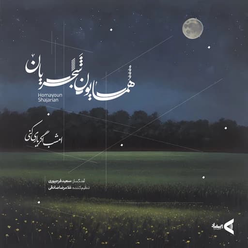 Emshab Agar Yari Koni