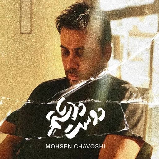 Dooset Dashtam ( I Loved You ) (Alternative)