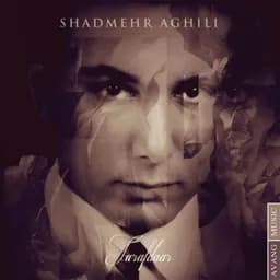 Shadmehr Aghili
