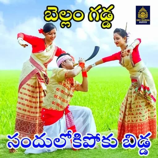 Sanduloki Pokubidda (Bellam Gadda)