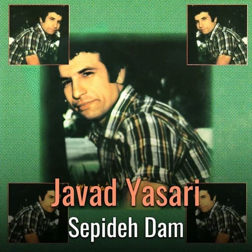 Sepideh Dam