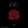 Red Rose