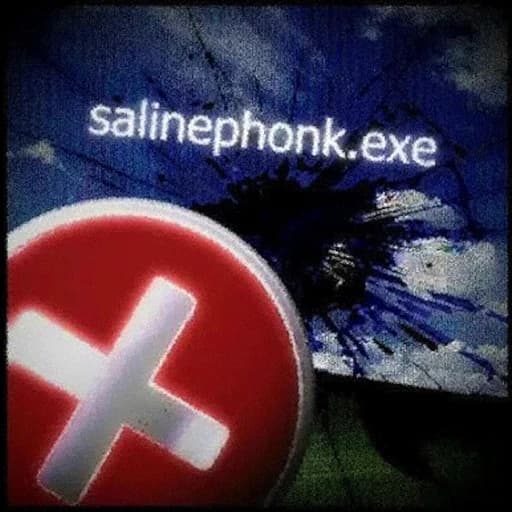 SalinePhonk.exe
