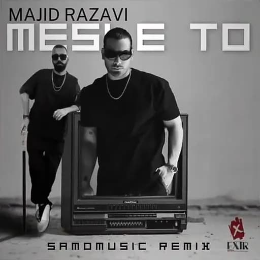 Mesle To (Remix)