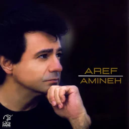 Amineh
