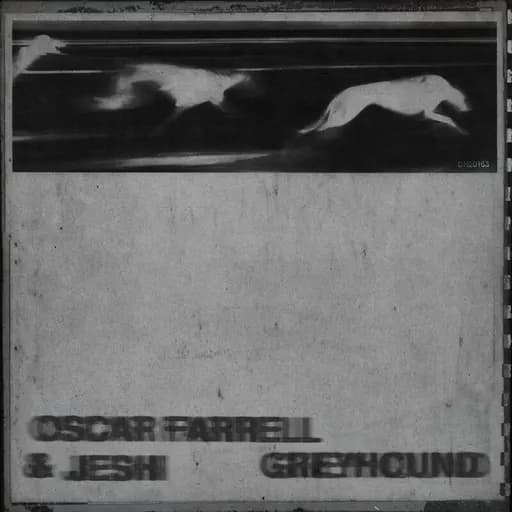 Greyhound