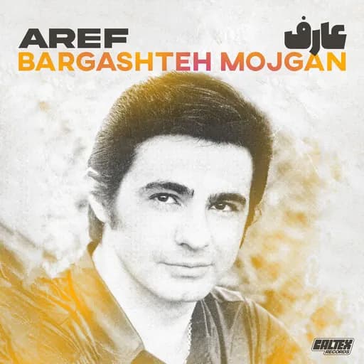 Afsaneh Gozashteh