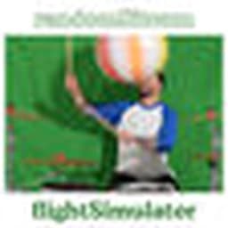 Flight Simulator