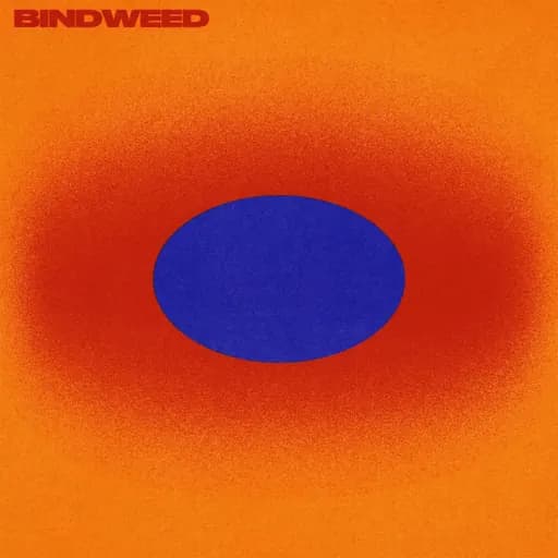 Bindweed