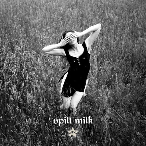 Spilt Milk