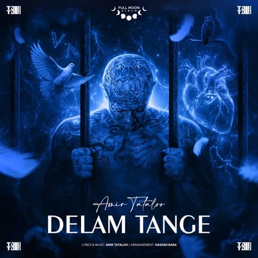 Delam Tange