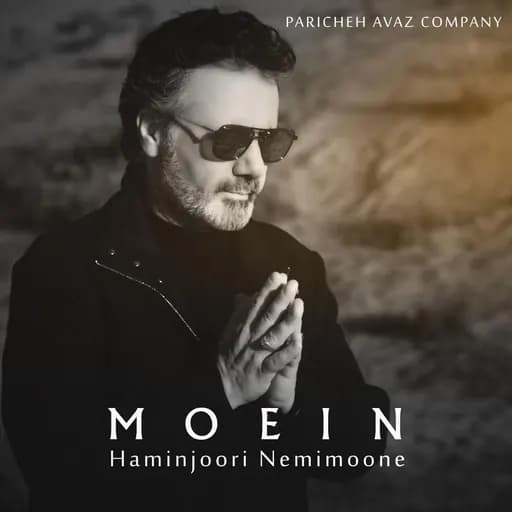 Haminjoori Nemimoone