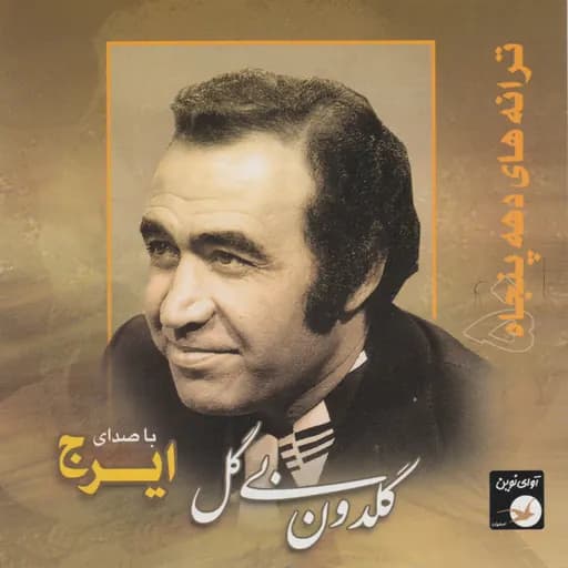 Azizi Mesle Joon