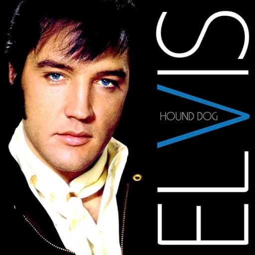 Hound Dog