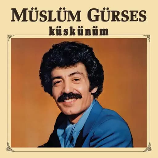 Seni Yazdım