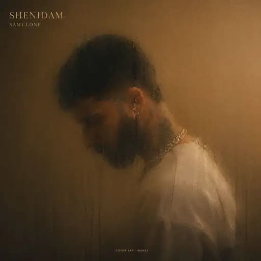 Shenidam