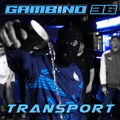 Transport