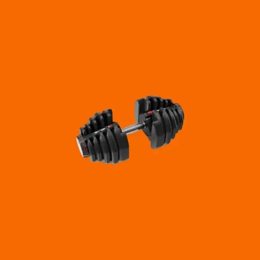 Workout