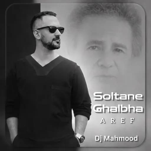 Soltane Ghalbha (Remix) - ریمیکس عارف سلطان قلب ها