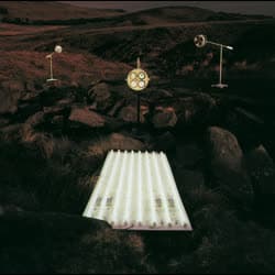 Parvaneh (Butterfly)